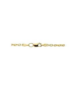 Cadena Forzada 2 Mm 18 Ktes 50 Cm<Alda Joyeros Shop