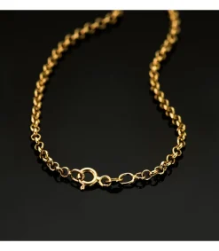 Cadena Rolo 2.5 Mm 18 Ktes 50 Cm<Alda Joyeros Shop
