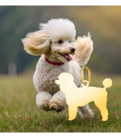 Caniche Colgante Personalizado Perro Oro 18K<Alda Joyeros Online