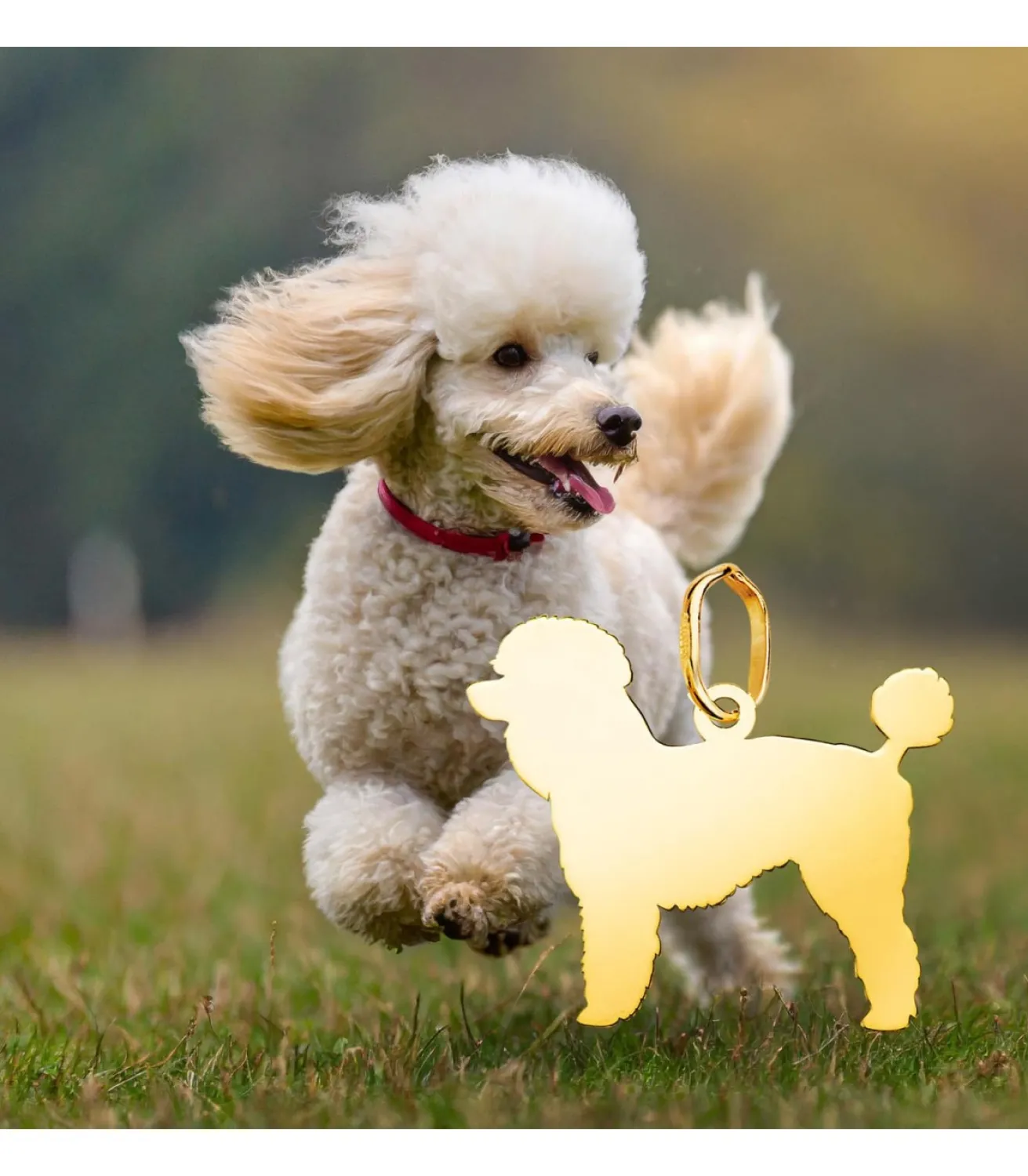 Caniche Colgante Personalizado Perro Oro 18K<Alda Joyeros Online