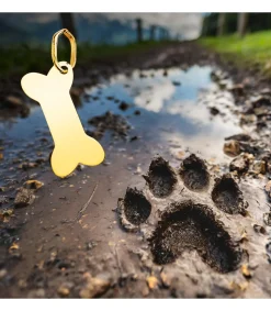 Colgante Personalizado Hueso Perro Oro 18K<Alda Joyeros Store
