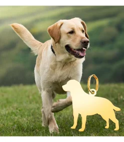 Labrador Colgante Personalizado Perro Oro 18K<Alda Joyeros Shop