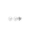 Pendientes Perlas Australianas Acantha 18 Ktes<Alda Joyeros Cheap
