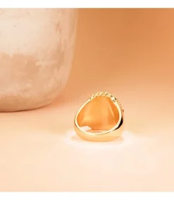 Sello De Hombre Indio Oro Amarillo 18K<Alda Joyeros Store