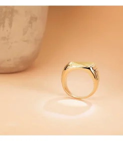 Sello Hombre Oro 18K Erik Macizo<Alda Joyeros Hot