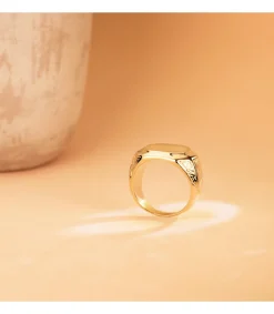 Sello Hombre Oro 18K Jonas Macizo<Alda Joyeros New