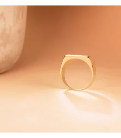 Sello Hombre Oro 18K Nael Macizo<Alda Joyeros Flash Sale