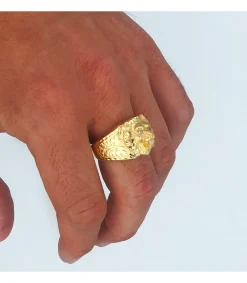 Sello Leon Hombre Oro Amarillo 18K Circonitas<Alda Joyeros Clearance
