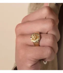 Sello Leon Oro Amarillo 18K<Alda Joyeros Sale